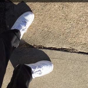 Meet your Posher, Samuel